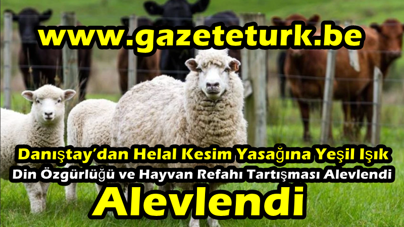 Danıştay’dan Helal Kesim Yasağına Yeşil Işık…Din Özgürlüğü ve Hayvan Refahı Tartışması Alevlendi…