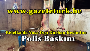 Belçika’da Yasa Dışı Kurban Kesimine Polis Baskını…